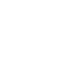 Play Icon